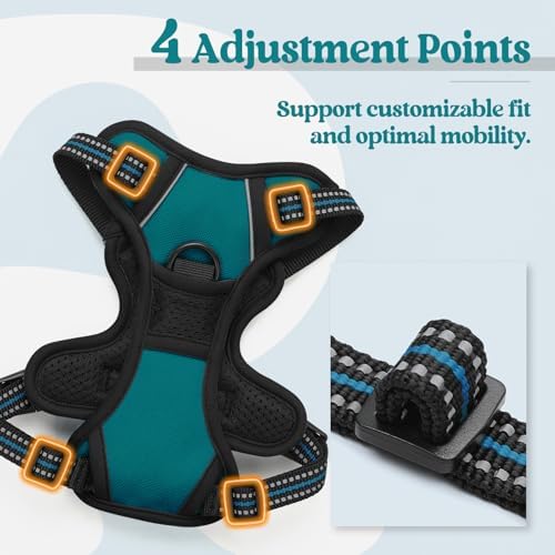 rabbitgoo Dog Harness, No Pull for Small Dogs - Image 4