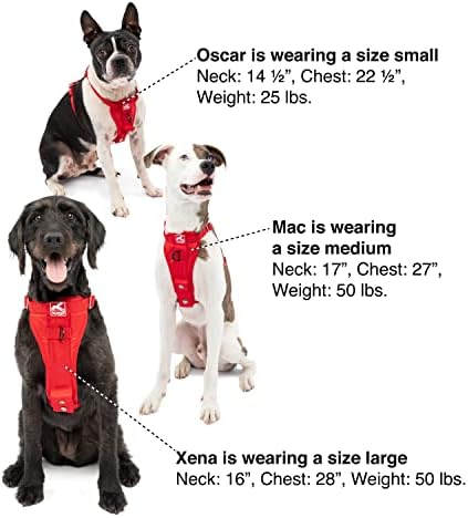 Kurgo Ink Blue Large Dog Harness - Image 5