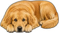 3D Realistic Dog Shaped Bath Mat & Floor Rug by MOFABIA