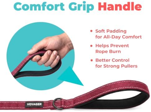 Best Pet Supplies Voyager Nylon Dog Leash - Image 5