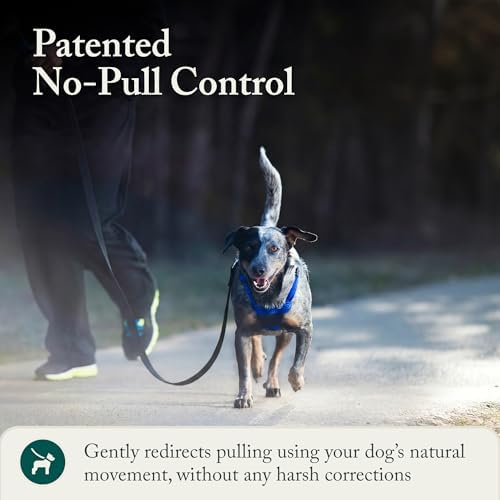 Sporn No Pull Dog Harness, Durable Nylon Mesh Harness - Image 6