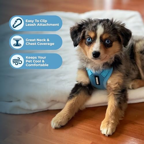 Voyager Step-in Lock Dog Harness - Image 3