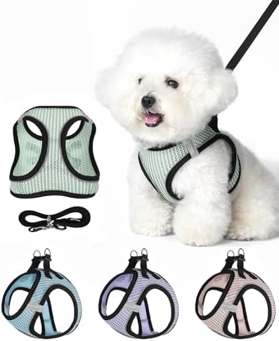 Dog Harness Small Sized and Leash Set, Step in Soft Light Puppy Vest, by Unknown