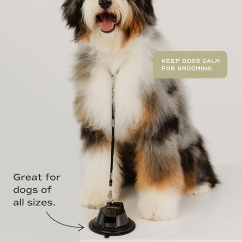 Pupwell Stay in Place and Heavy Duty Suction Cup Dog Leash to Keep Them in Place - Image 4