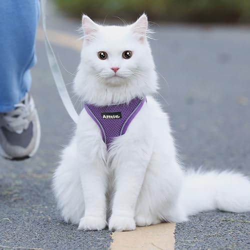 AIITLE Dog Harness and Leash Set, Step-in Puppy Pet Vest, Pure Purple L - Image 6