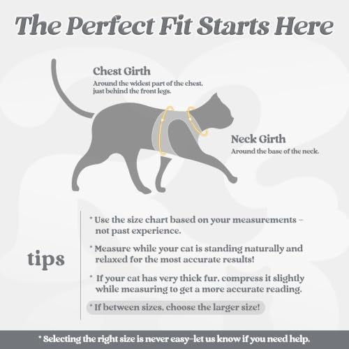 rabbitgoo Cat Harness and Leash Set, Step-in Soft Vest - Image 2