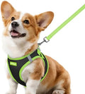 rabbitgoo Dog Harness Small Sized and Leash Set, Step in Soft Vest by rabbitgoo