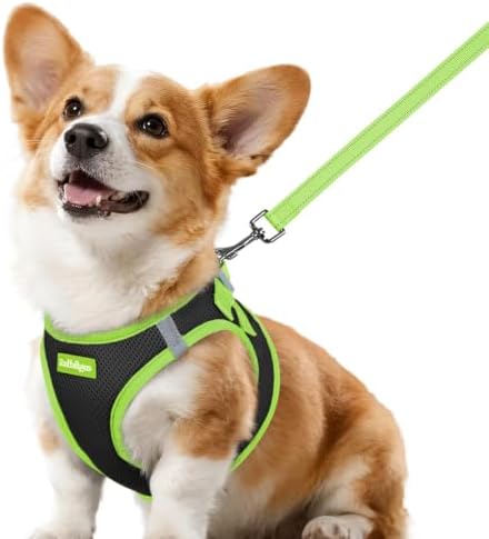 rabbitgoo Dog Harness Small Sized and Leash Set, Step in Soft Vest by rabbitgoo