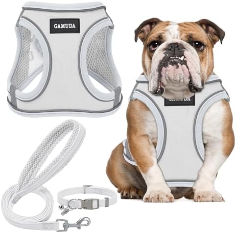 GAMUDA Small Pet Harness Collar and Leash Set, Step in No Chock No Pull Linen by GAMUDACollarsCollection