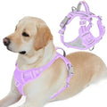 BARKBAY No Pull Dog Harness for Large Dogs, ID Tag Holder Dog Vest by BARKBAY