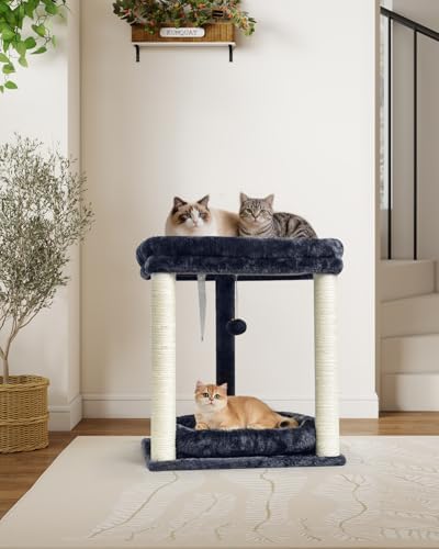 SYANDLVY Small Cat Tree for Indoor Cats - Image 2