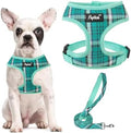 PUPTECK Small Dog Harness and Leash Set No Pull by PUPTECK