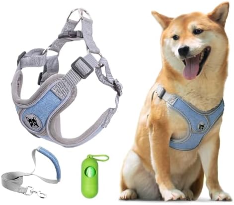 Patas Lague Dog Harness with Leash Set by PatasLague