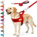 BEAUTYZOO Dog Harness for Large Dogs, No Pull Step in Pet Vest and Leash Set by BEAUTYZOO