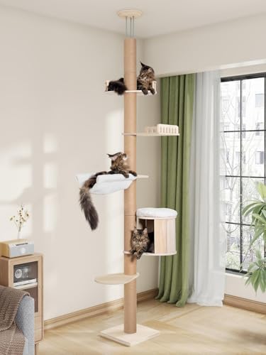 Aechonow 10.2ft Floor to Ceiling Cat Tree by Aechonow