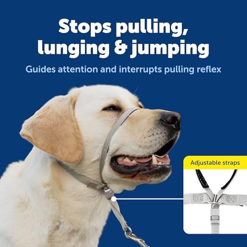 PetSafe Gentle Leader No Pull Dog Headcollar, Charcoal Gray - Image 3