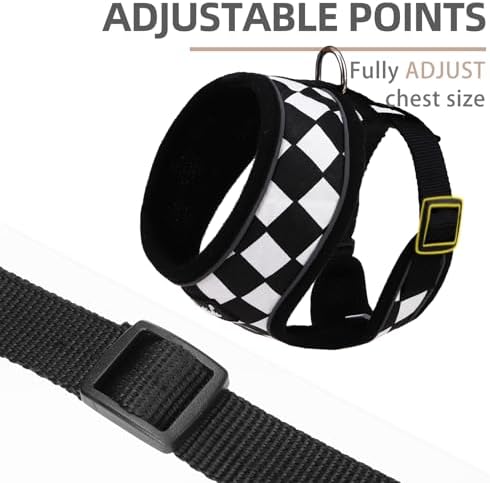 PUPTECK Small Dog Harness and Leash Set No Pull - Image 3