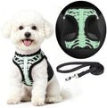 KOOLTAIL Halloween Dog Harness and Leash Set by KOOLTAIL
