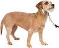 PetSafe Gentle Leader No Pull Dog Headcollar by PetSafe