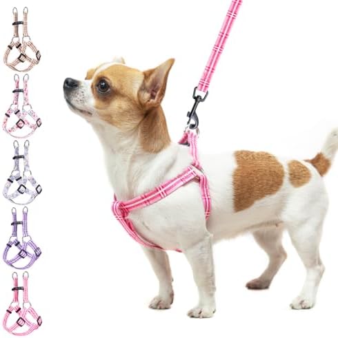 BEAUTYZOO No Pull Dog Harness and Leash Set by BEAUTYZOO