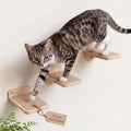 INICIO Cat Wall Steps by INICIO