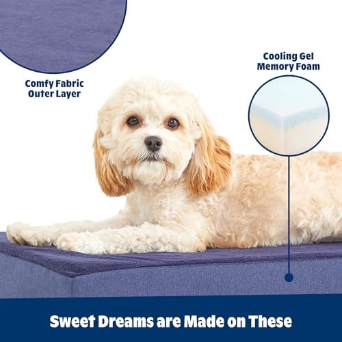 BarkBox Orthopedic Dog Bed - Image 2