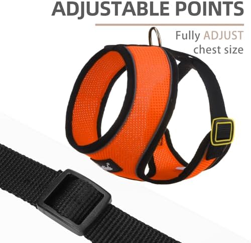 PUPTECK Small Dog Harness and Leash Set No Pull - Image 3
