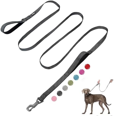 Fida 10 FT Heavy Duty Dog Leash, Dual Padded Handles by Fida