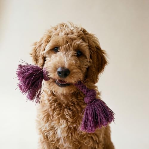 Playology Tug Rope Dog Toys for Small Dogs - Image 3