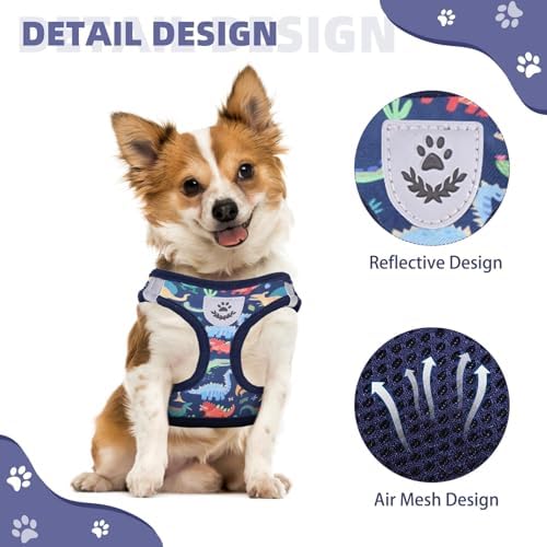 KOOLTAIL Dog Harness and Leash Set - Image 4