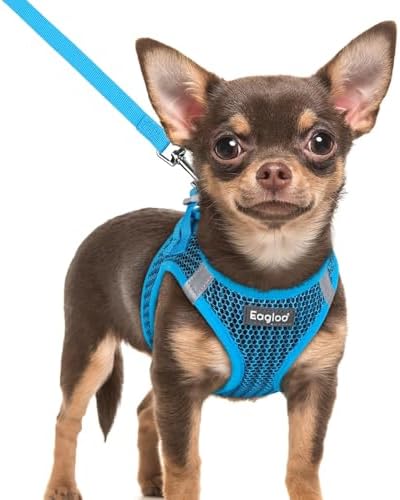 Eagloo Small Dog Harness and Leash Set, Step in Extra Small Puppy Pet Vest by GoExplorewithEagloo