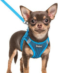 Eagloo Small Dog Harness and Leash Set, Step in Extra Small Puppy Pet Vest by GoExplorewithEagloo