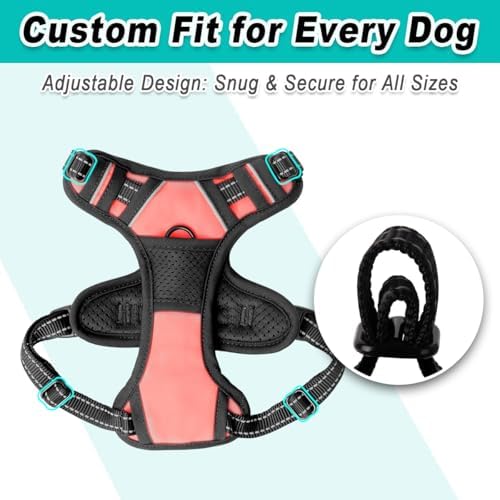 BARKBAY Dog Harness for Small Sized Dog No Pull 2 Leash Clips Dog Vest - Image 6