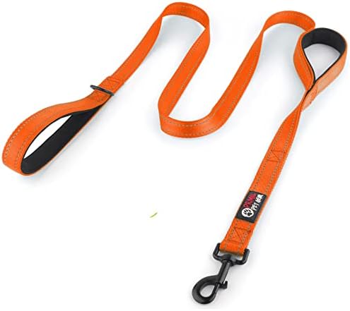 Primal Pet Gear Dog Leash 6ft Long, Traffic Padded Two Handle, Heavy Duty by PrimalPetGear