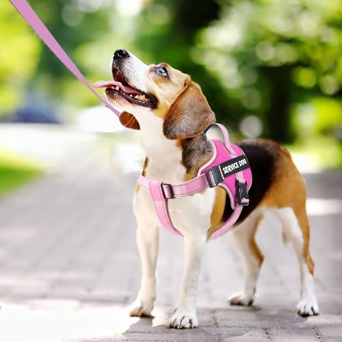 voopet Emotional Support Dog Harness, Professional Service Dog Vest Harness - Image 4