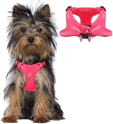 BARKBAY Small Dog Harness, No Pull Puppy Harness, Step-in Dog Vest by BARKBAY