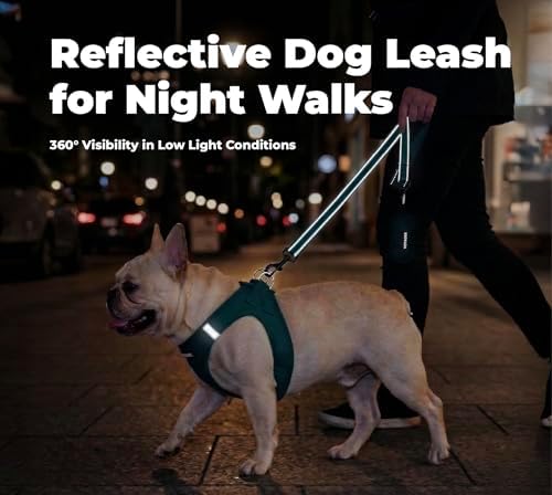 Best Pet Supplies Voyager Nylon Dog Leash - 6ft Blue - Image 4