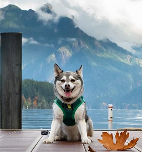 EcoBark Step in Dog Harness, Reflective & Adjustable Halter Vest, Size XL - Image 5
