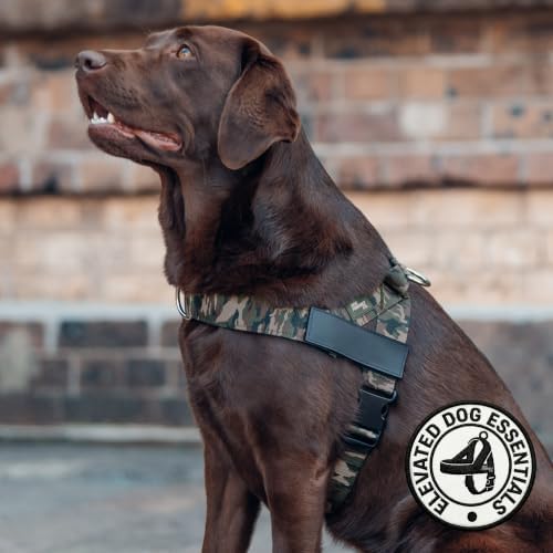 Dog Friendly Co. Dog Harness for Small Dogs - Image 6