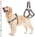 PUPTECK Halloween Dog Harness Medium Sized Step-in Adjustable Puppy Vest by PUPTECK