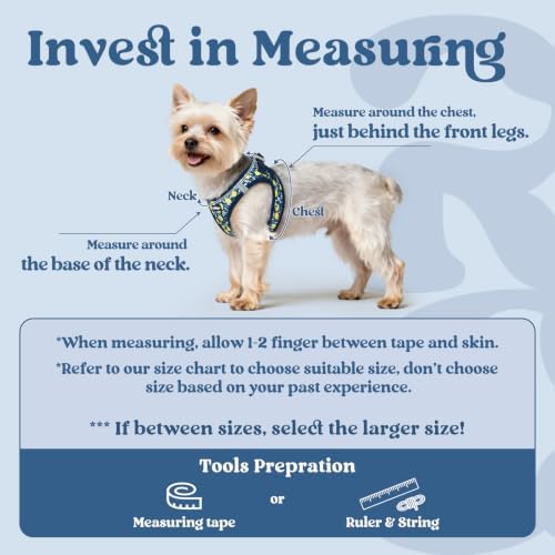 rabbitgoo Step-in Small Dog Harness, Puppy Vest - Image 2