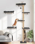 FUKUMARU Cat Wall Shelves Set, 70 inch Wall Mounted Tree by FUKUMARU