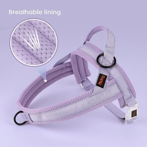 Didog No Pull Dog Harness with Breathable Mesh Padded, Quick Fit & Easy on Dog - Image 3