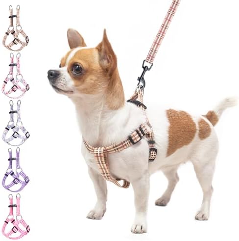 BEAUTYZOO No Pull Dog Harness and Leash Set by BEAUTYZOO