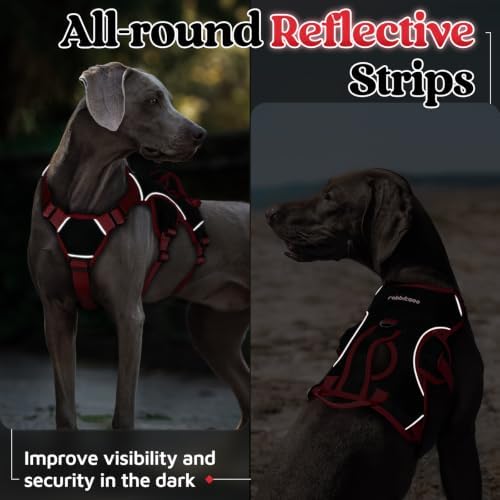 rabbitgoo Escape Proof Dog Harness - Image 6