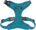 Voyager Step-in Lock Dog Harness by BestPetSuppliesLLC