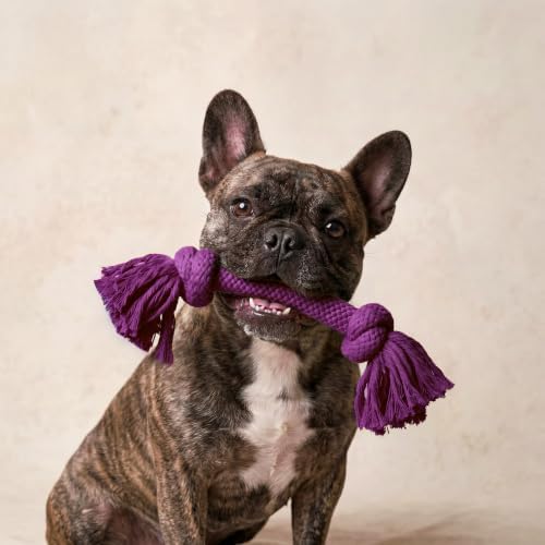 Playology Tug Rope Dog Toys for Medium Dogs - Image 3