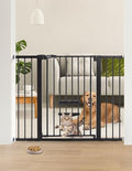 Babelio 36" Tall Dog Gate with Cat Door, CatPrivilege II by BABELIO