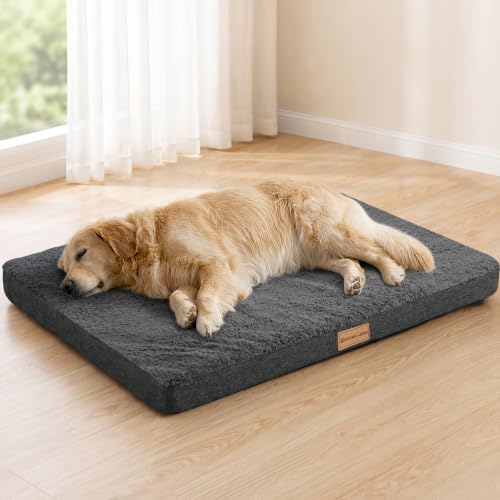 Patas Lague Orthopedic Large Dog Bed Pet Sofa Mat 36''X24'' Dark Grey by PatasLague