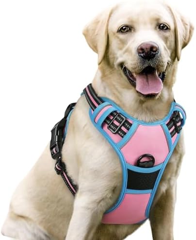 rabbitgoo Dog Harness, No Pull for Large Dogs by rabbitgoo
